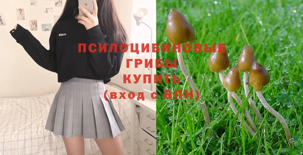 винт Алексин