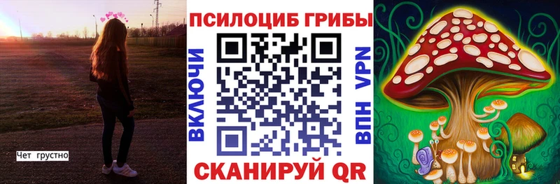 Псилоцибиновые грибы мицелий Сельцо