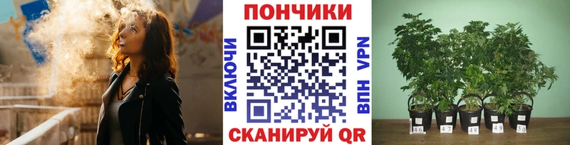 Бошки марихуана марихуана  Сельцо 